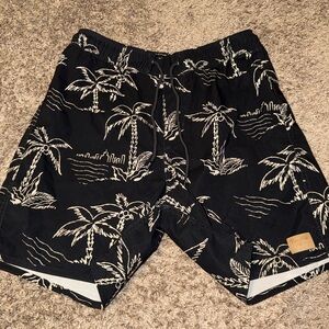 Brixton Swim Trunks